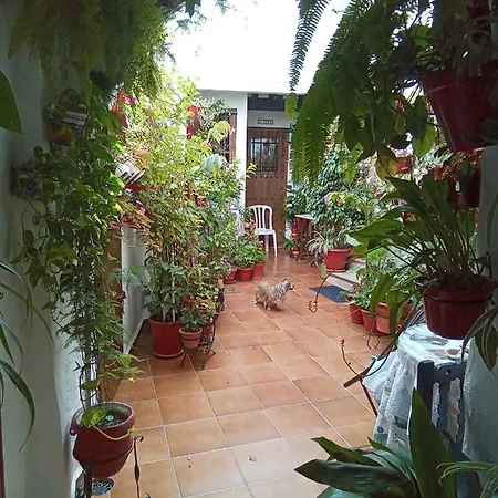 Arco De La Cobijada *